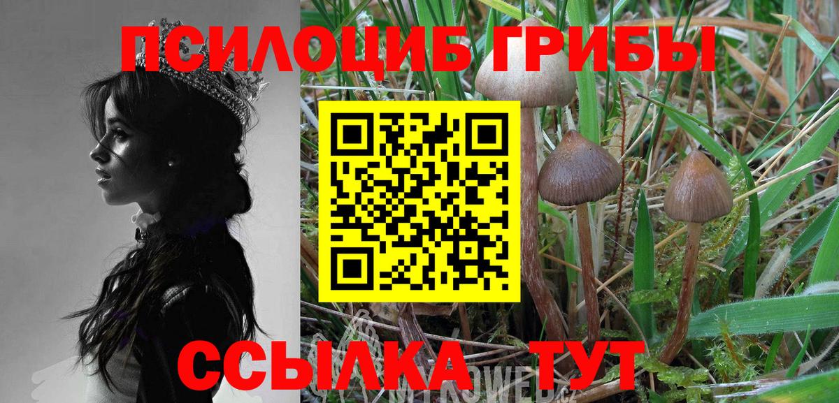 Галлюциногенные грибы GOLDEN TEACHER Сергиев Посад