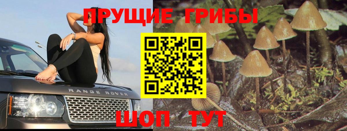 Сергиев Посад  Псилоцибиновые грибы Magic Shrooms  Вход с VPN 